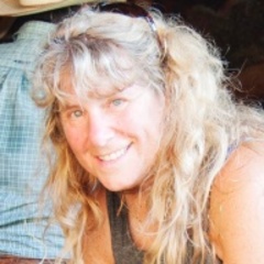 avatar image for Beth Holtzman