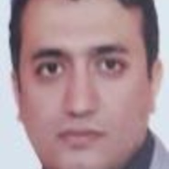 avatar image for mohammad ali mennatyan